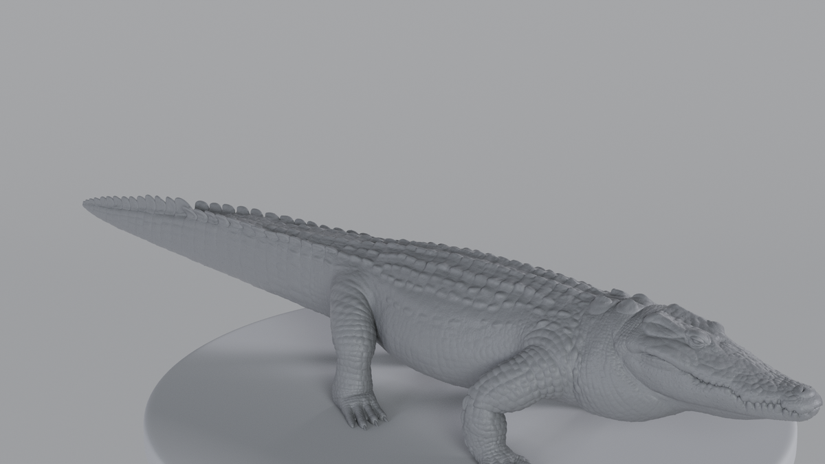 Crocodile