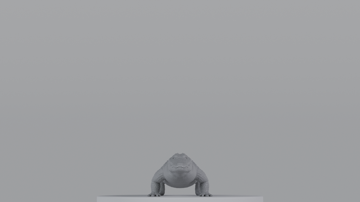 Crocodile