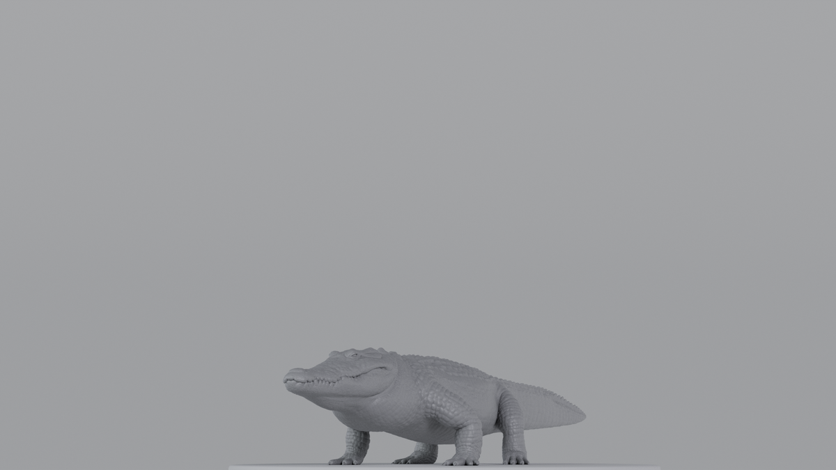 Crocodile