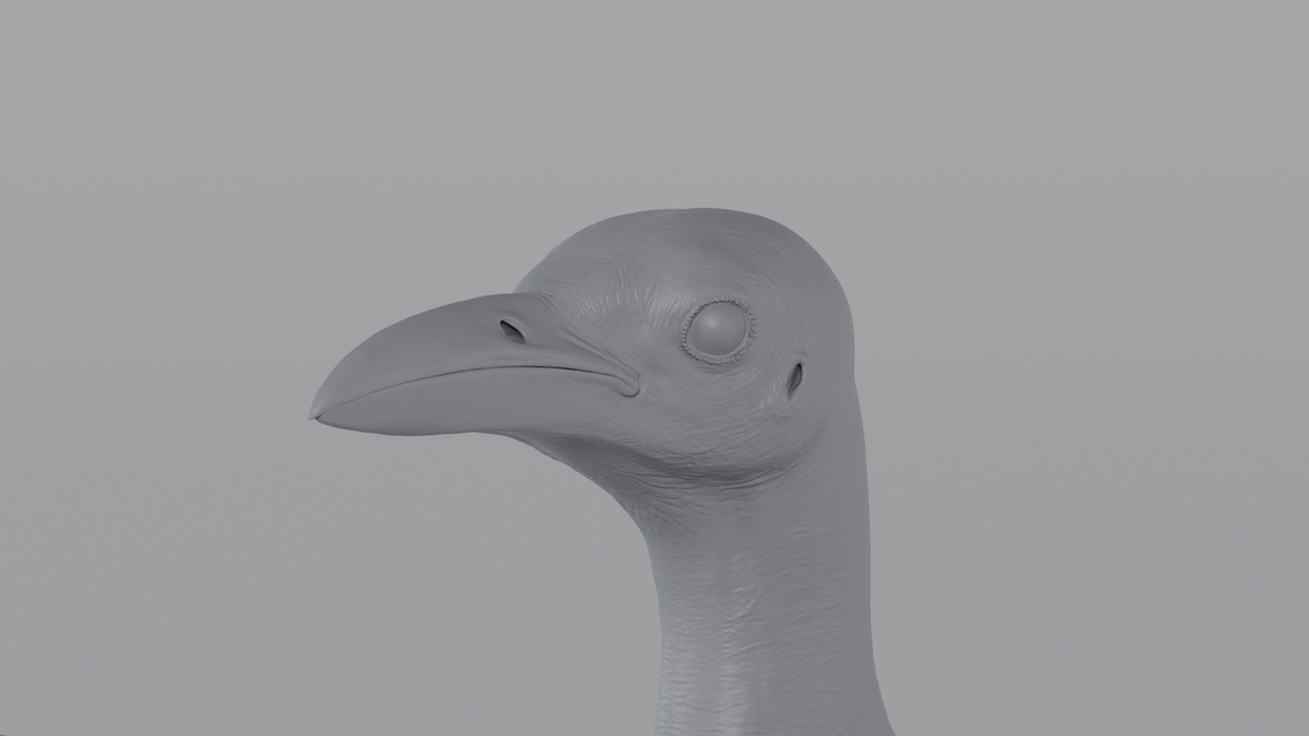 Crow
