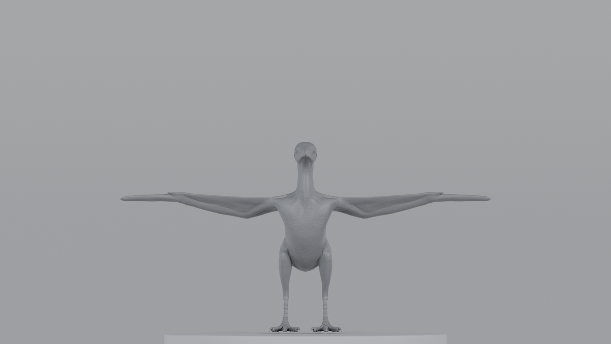 Crow
