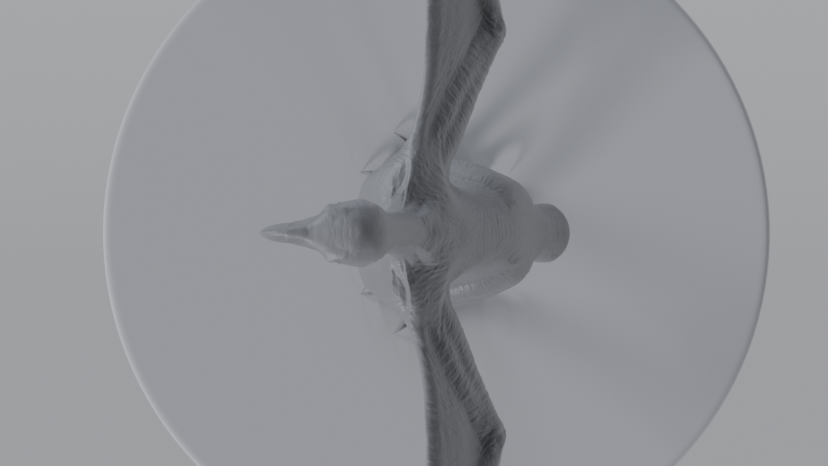 Eagle