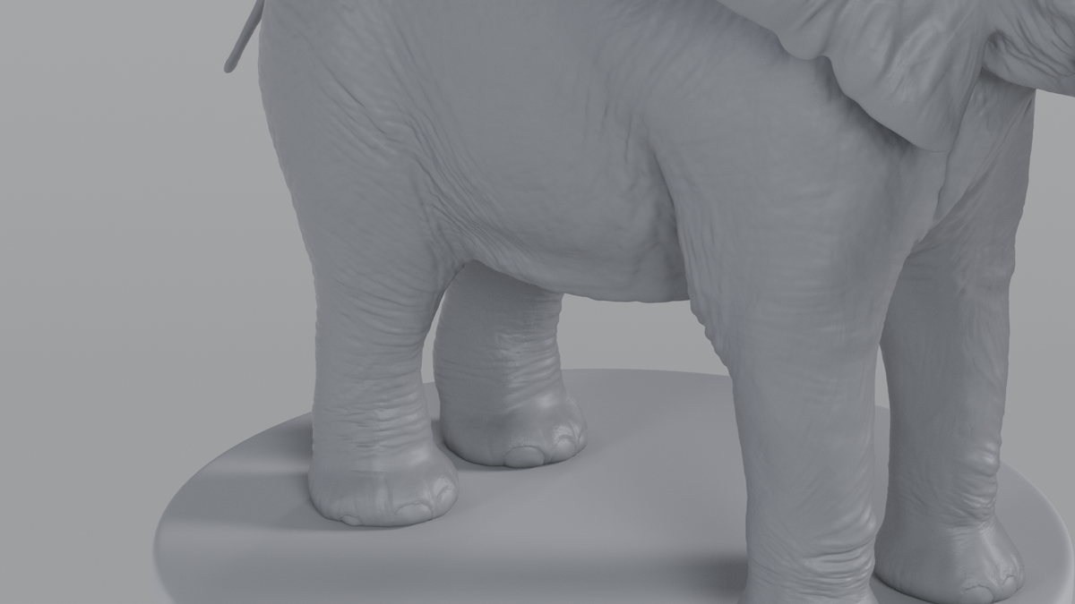 Elephant
