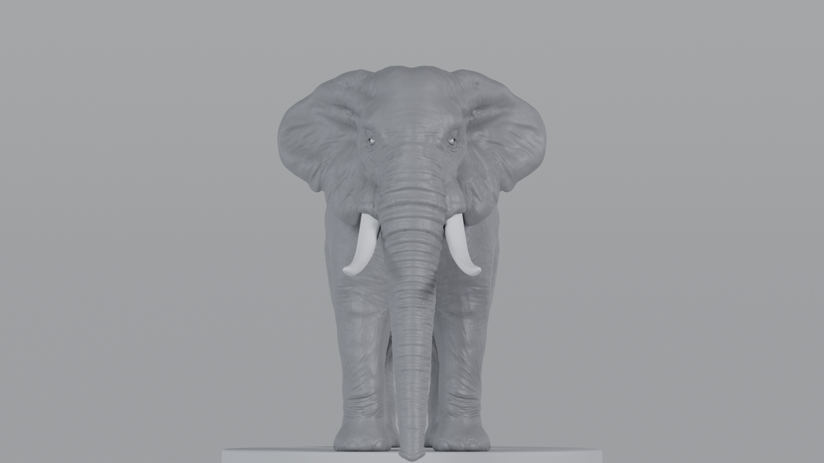 Elephant