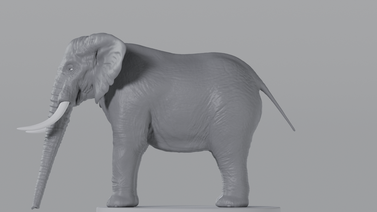 Elephant