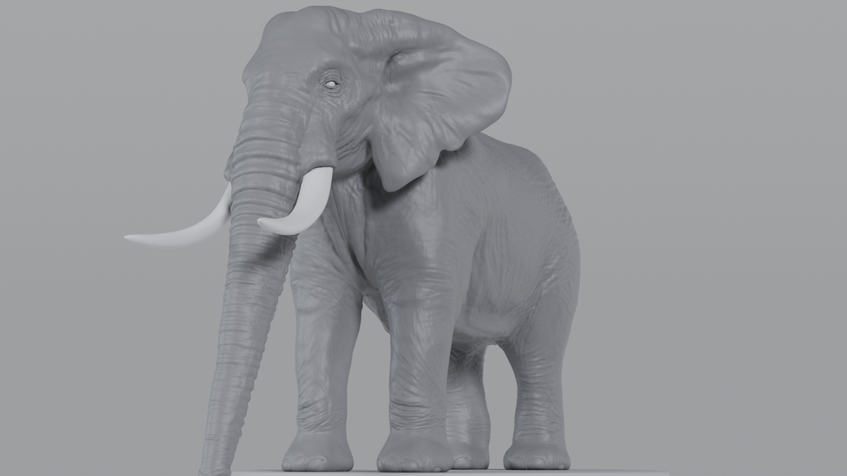 Elephant