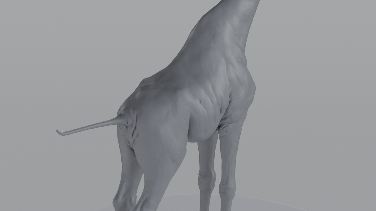 Giraffe