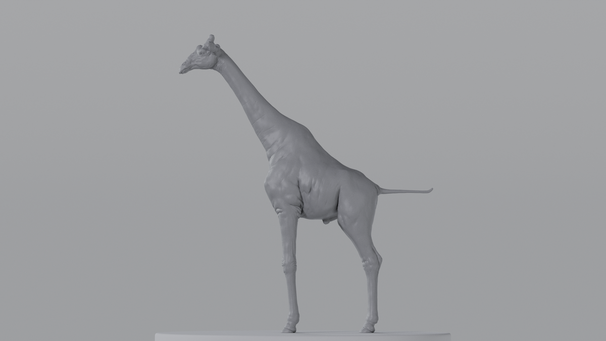 Giraffe