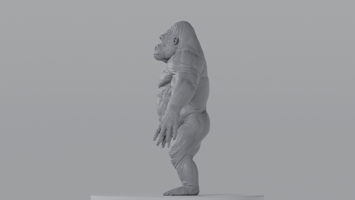 Gorilla