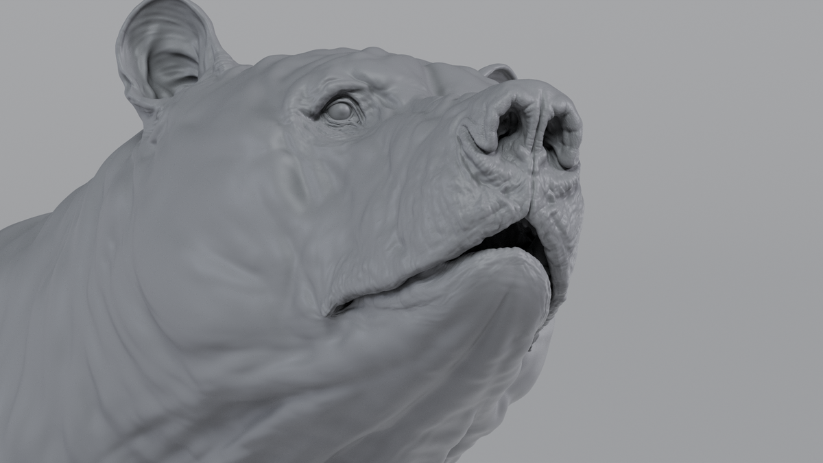 Grizzly