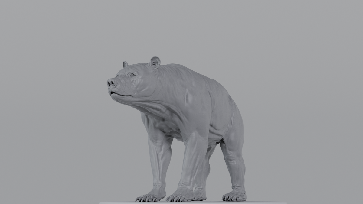Grizzly