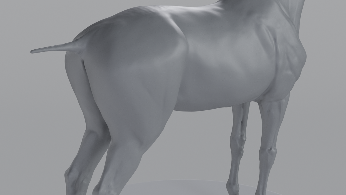 Horse