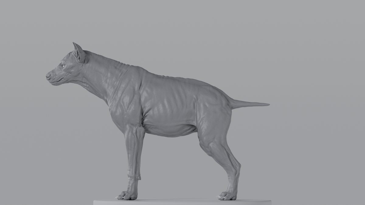Hyena