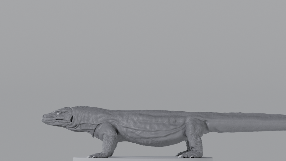 Komodo Dragon