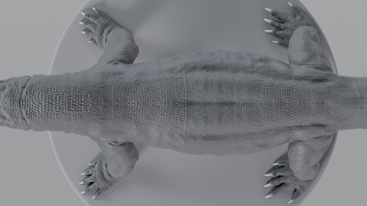 Komodo Dragon