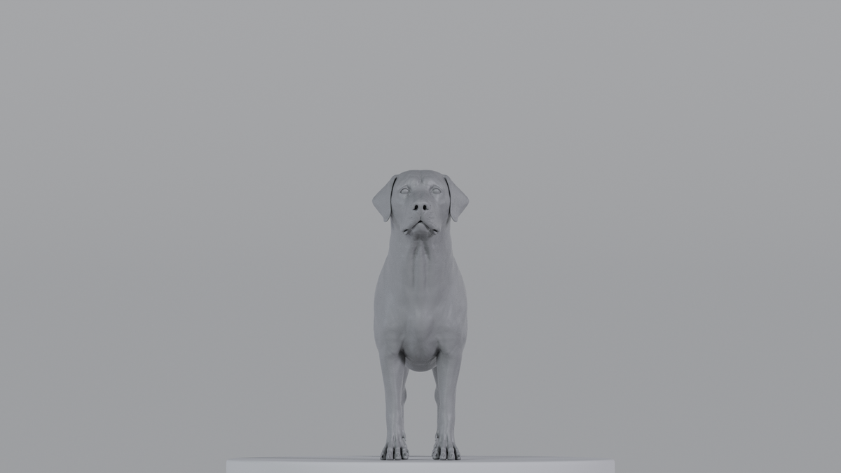 Labrador