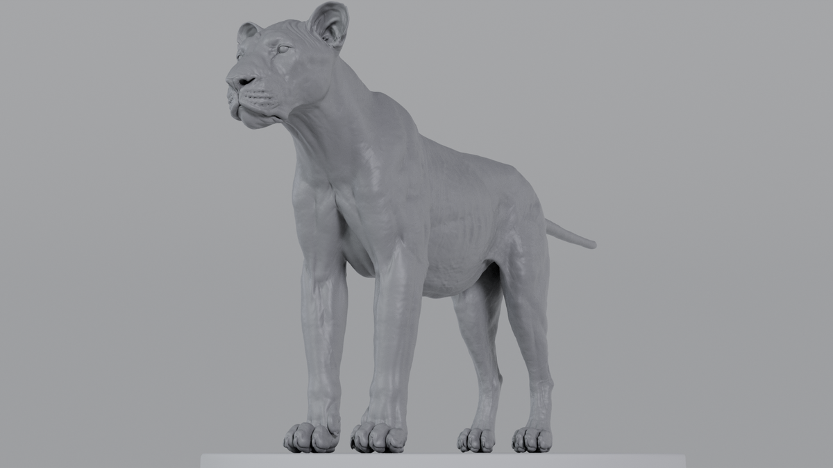 Lioness