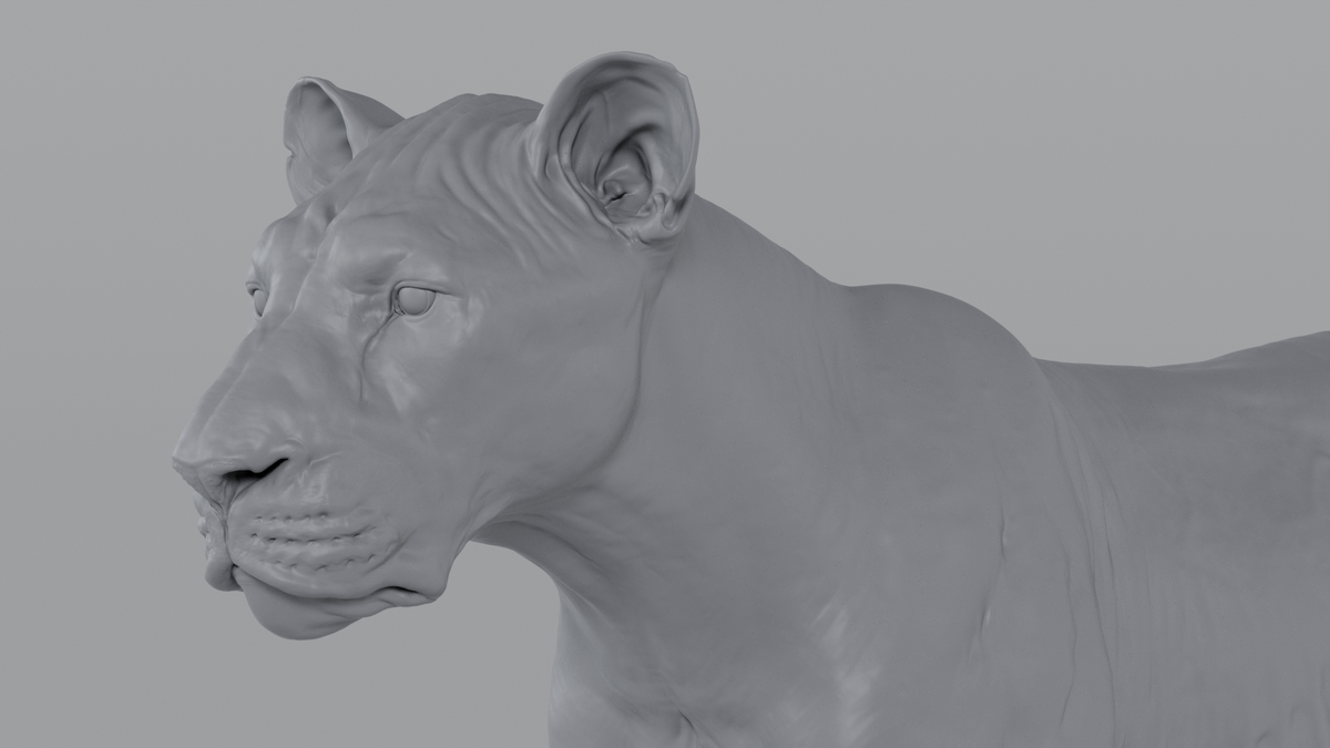 Lion
