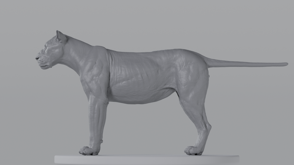 Lion