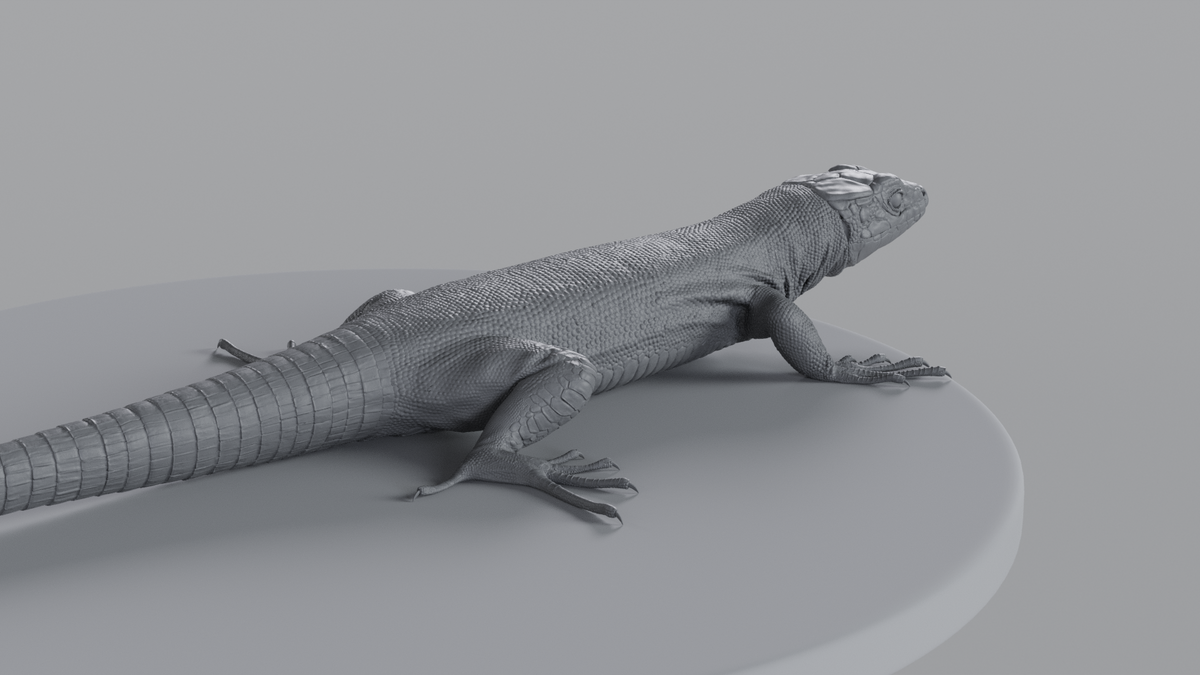 Lizard