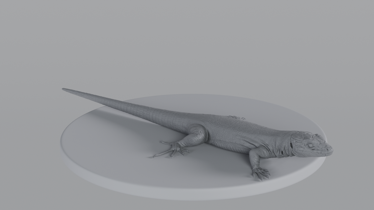 Lizard