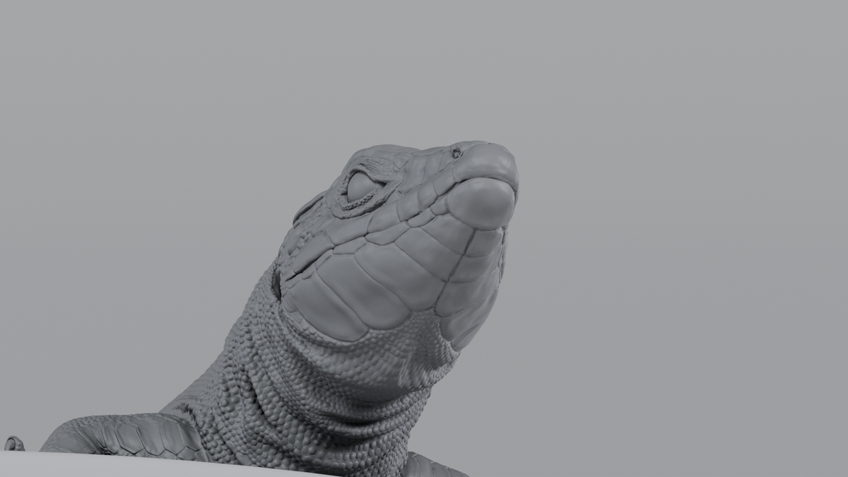 Lizard
