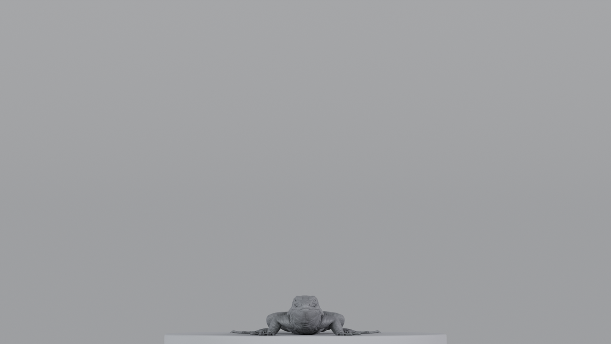 Lizard