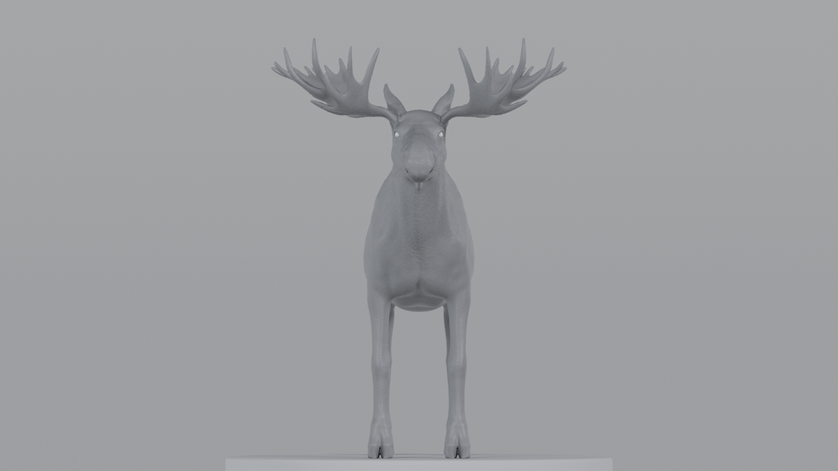 Moose