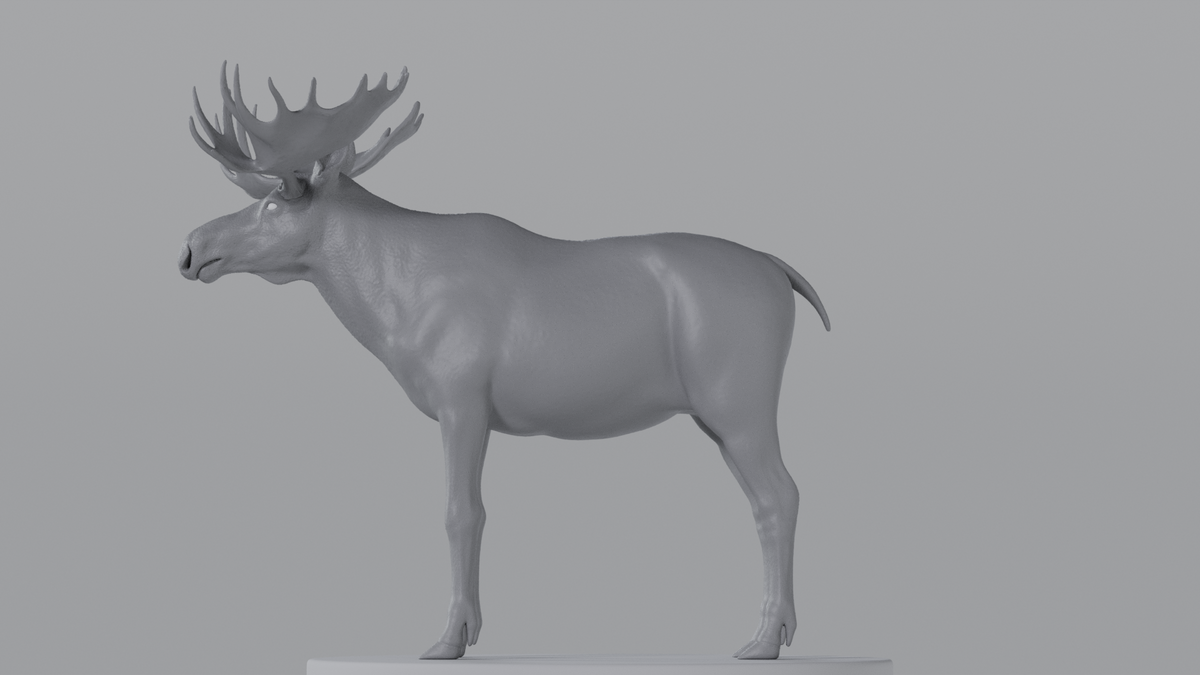 Moose