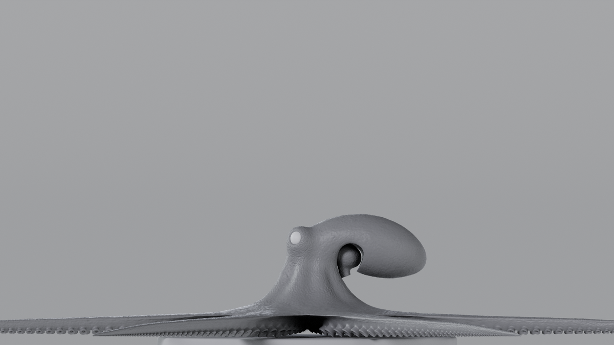 Octopus