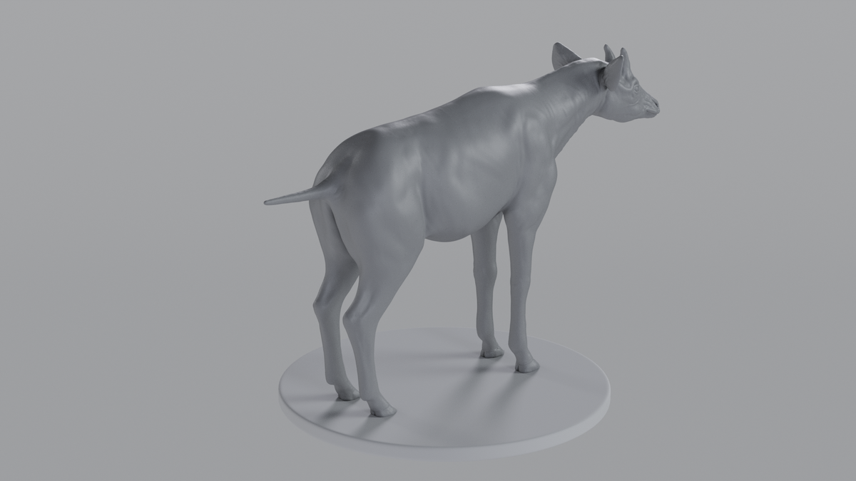 Okapi