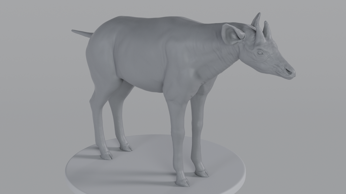 Okapi