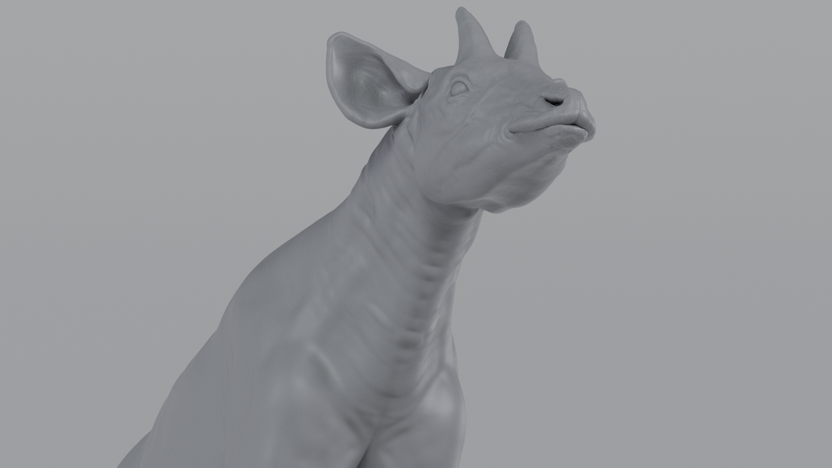 Okapi