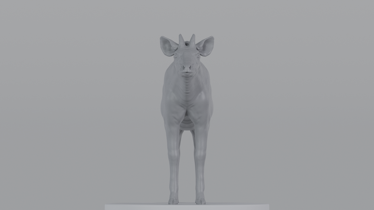 Okapi