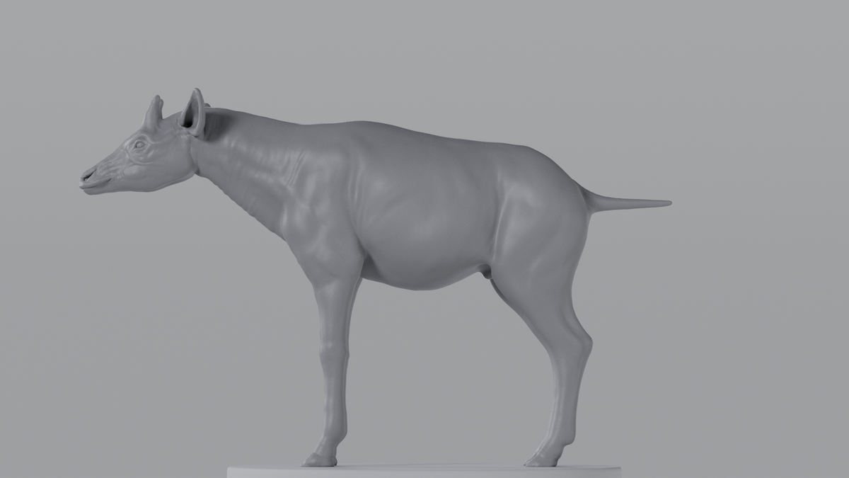 Okapi