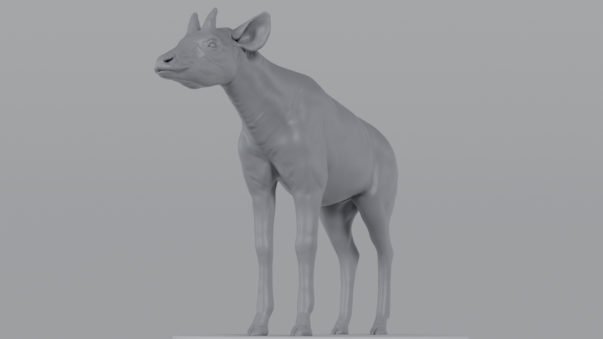 Okapi