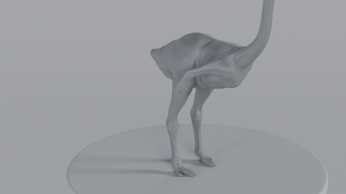 Ostrich