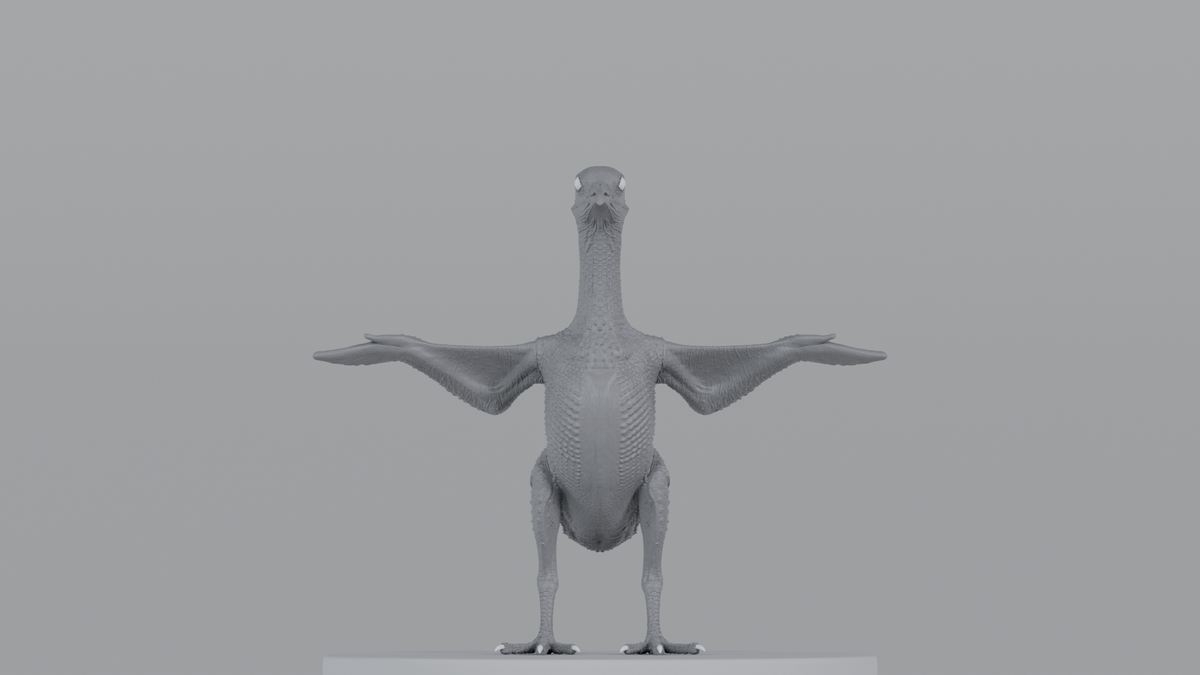 Pigeon