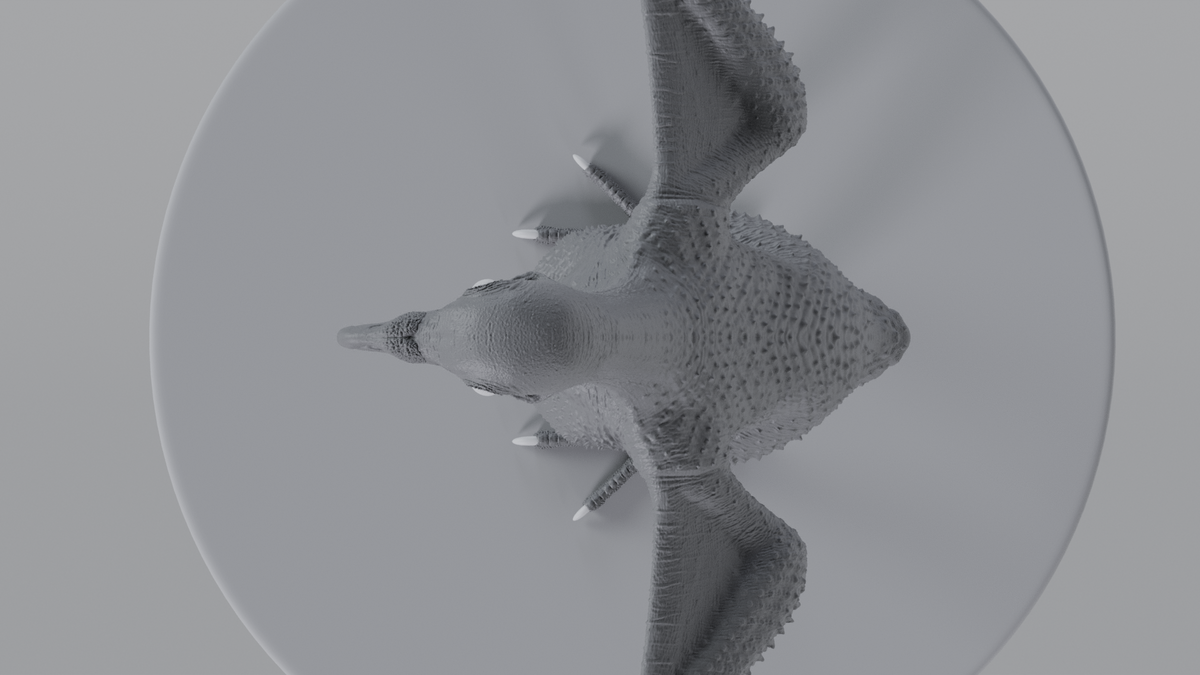 Pigeon