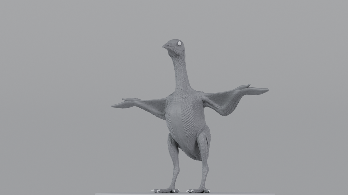 Pigeon