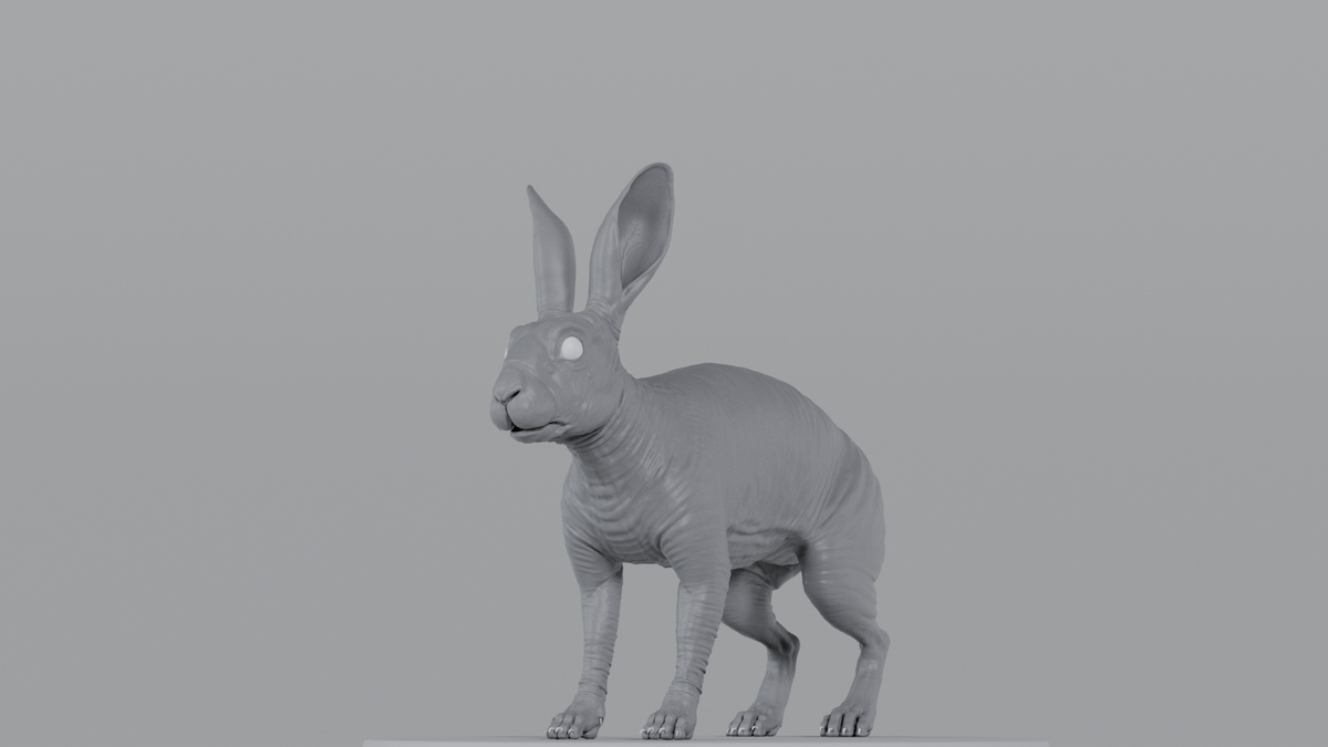 Rabbit
