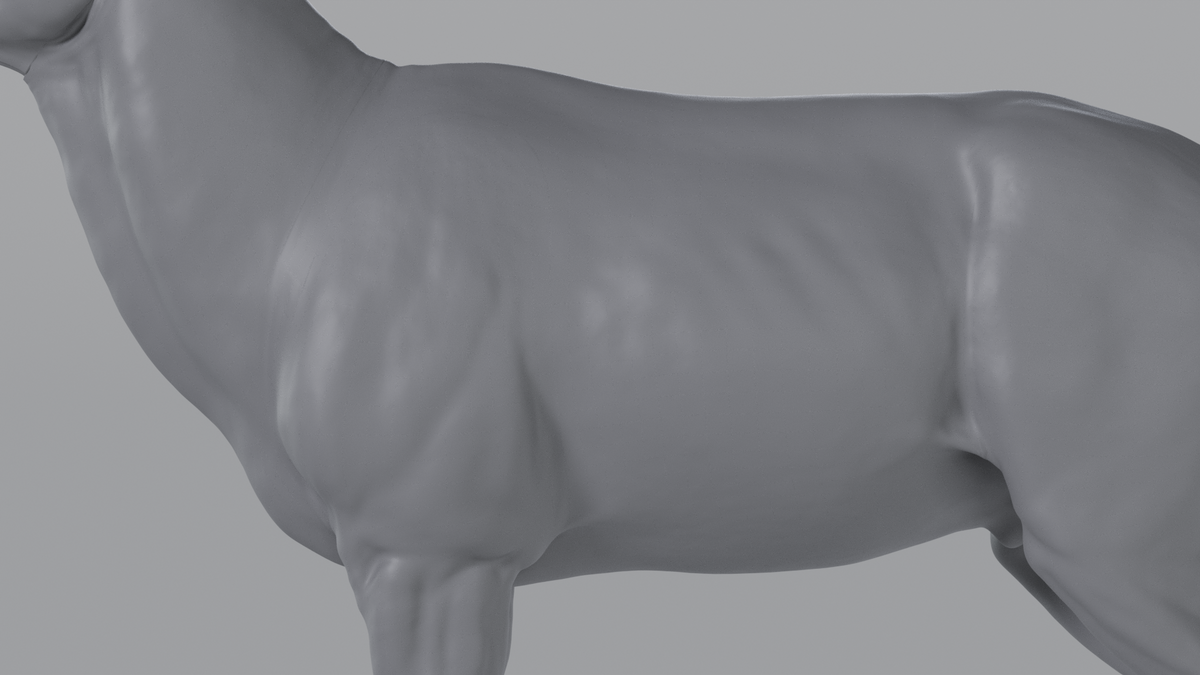 Stag