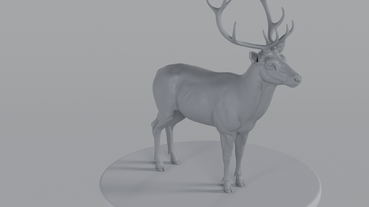 Stag