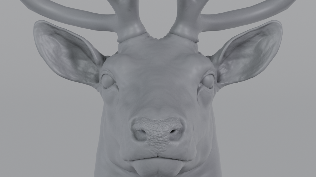 Stag