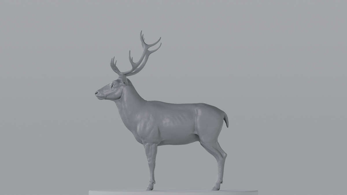Stag