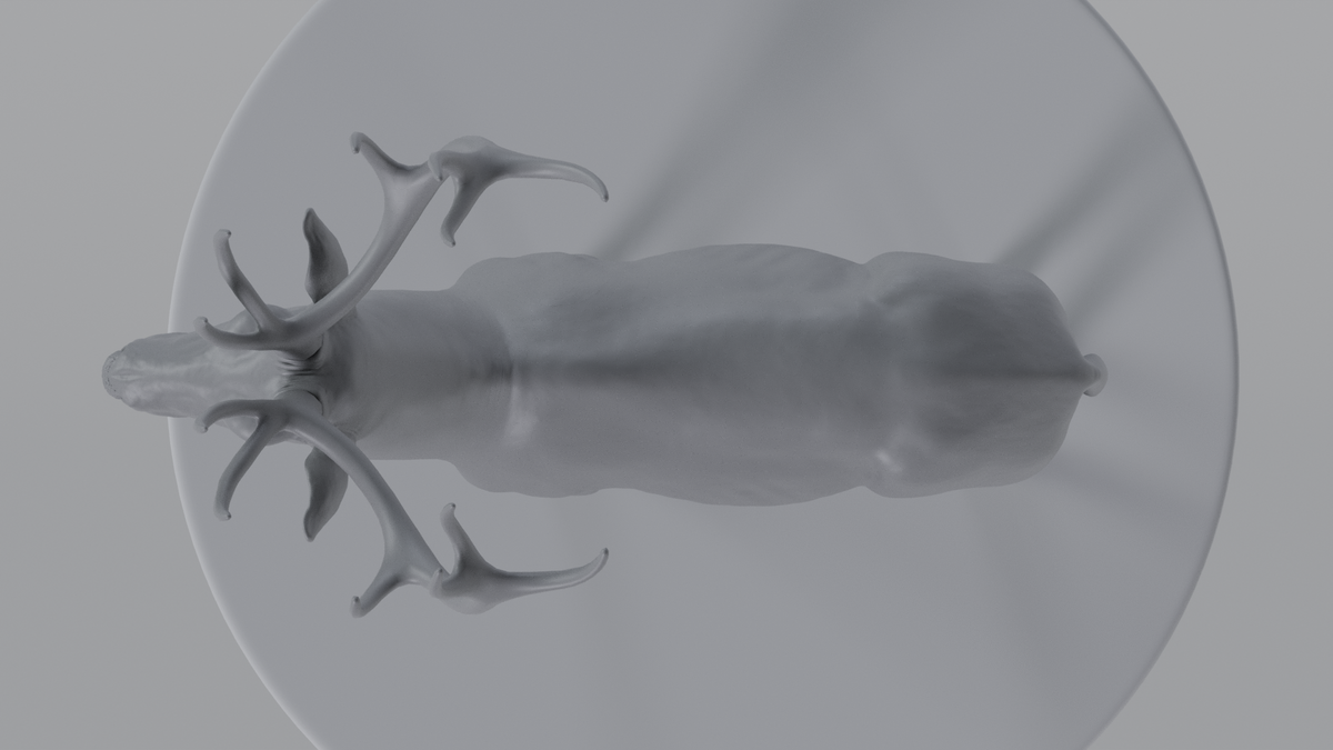 Stag