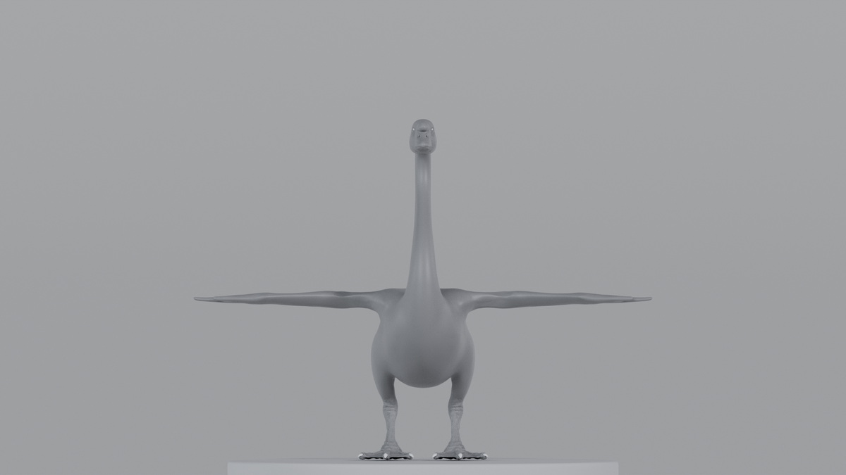 Swan