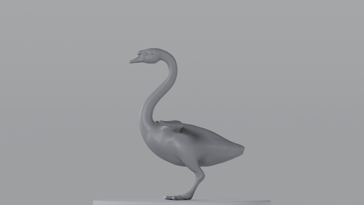Swan