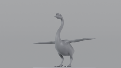 Swan