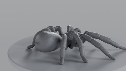 Tarantula